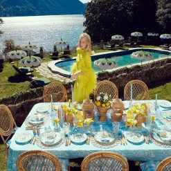 Mrs. Alice Cara Woven Placemats (Set of 4)< Placemats