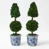 Mrs. Alice Chinoiserie Potted Boxwood Tree (Pair)< Year-round Decorations | Christmas Decorations