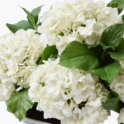 Mrs. Alice Faux White Hydrangea in Chinoiserie Planter< Year-round Decorations | Forever Blooms