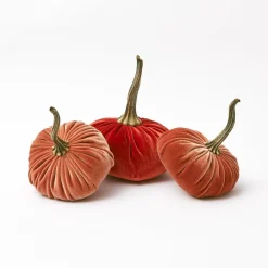 Mrs. Alice Joy of Autumn Decoration Set< Autumn Decorations