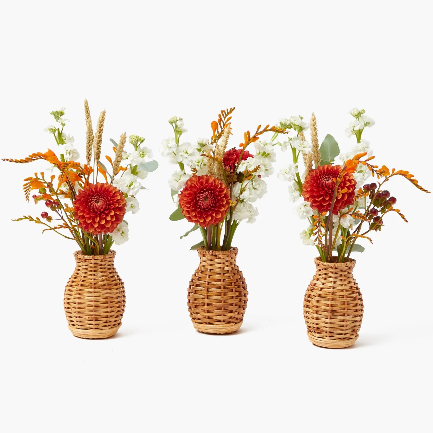 Mrs. Alice Joy of Autumn Tablescape< Autumn Decorations