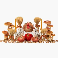 Mrs. Alice Joy of Autumn Tablescape< Autumn Decorations