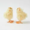 Mrs. Alice Large Fluffy Chicks (Pair)< Spring Decorations