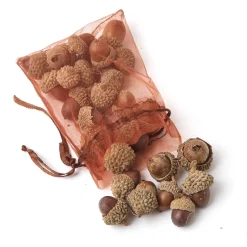 Mrs. Alice Decorative Acorns< Autumn Decorations