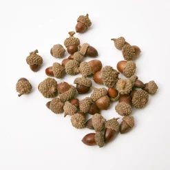 Mrs. Alice Decorative Acorns< Autumn Decorations