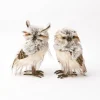 Mrs. Alice Pair of Tawny Owls< Autumn Decorations