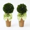 Mrs. Alice Potted Boxwood Ball with Green Bow (Pair)< Spring Decorations