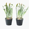 Mrs. Alice Potted Faux Frosted Snowdrop (Pair)< Christmas Decorations
