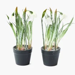 Mrs. Alice Potted Faux Frosted Snowdrop (Pair)< Christmas Decorations