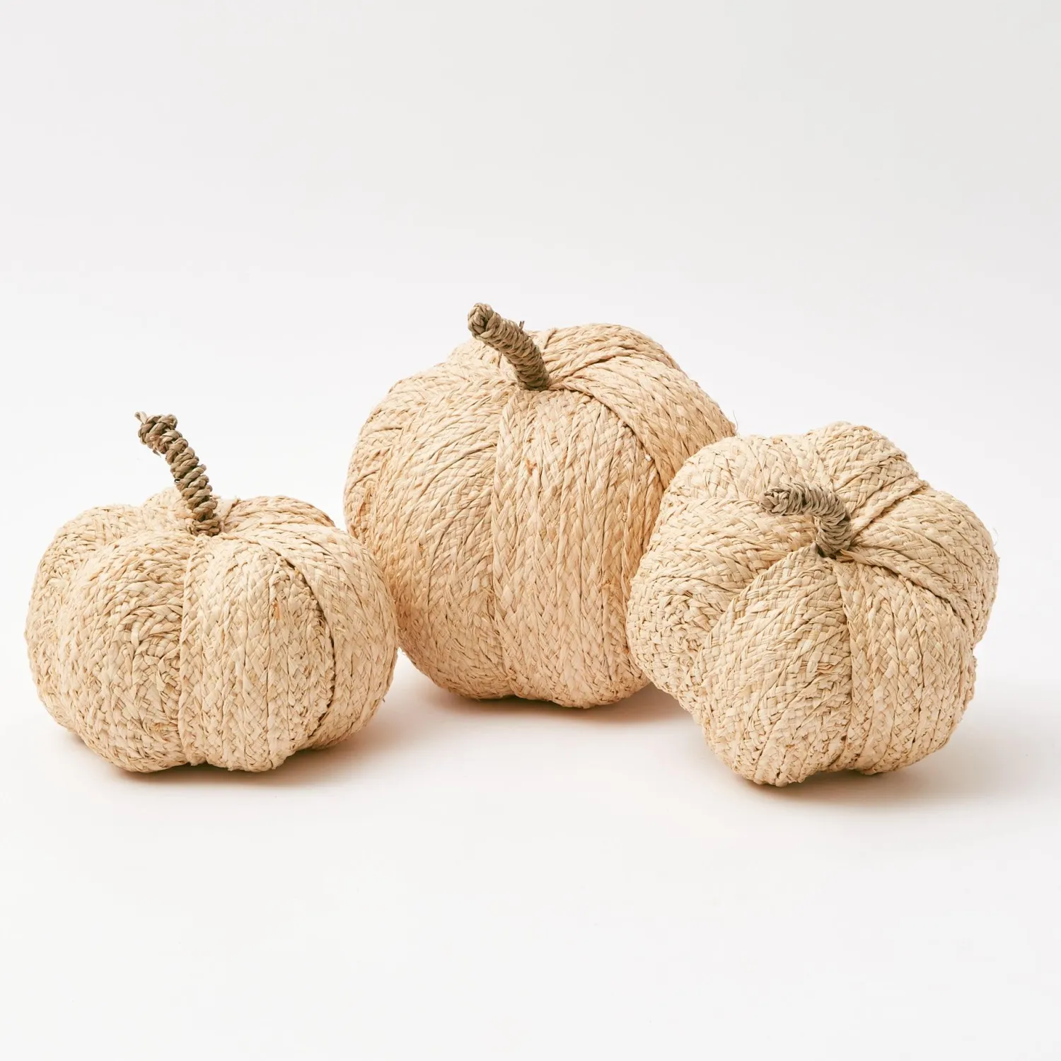 Mrs. Alice Raffia Pumpkin Family< Autumn Decorations