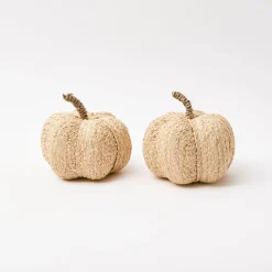 Mrs. Alice Raffia Pumpkin Family< Autumn Decorations