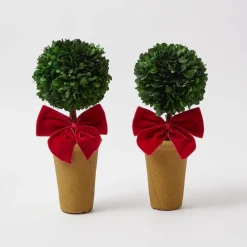 Mrs. Alice Red Ribboned Potted Boxwood Ball (Pair)< Christmas Decorations