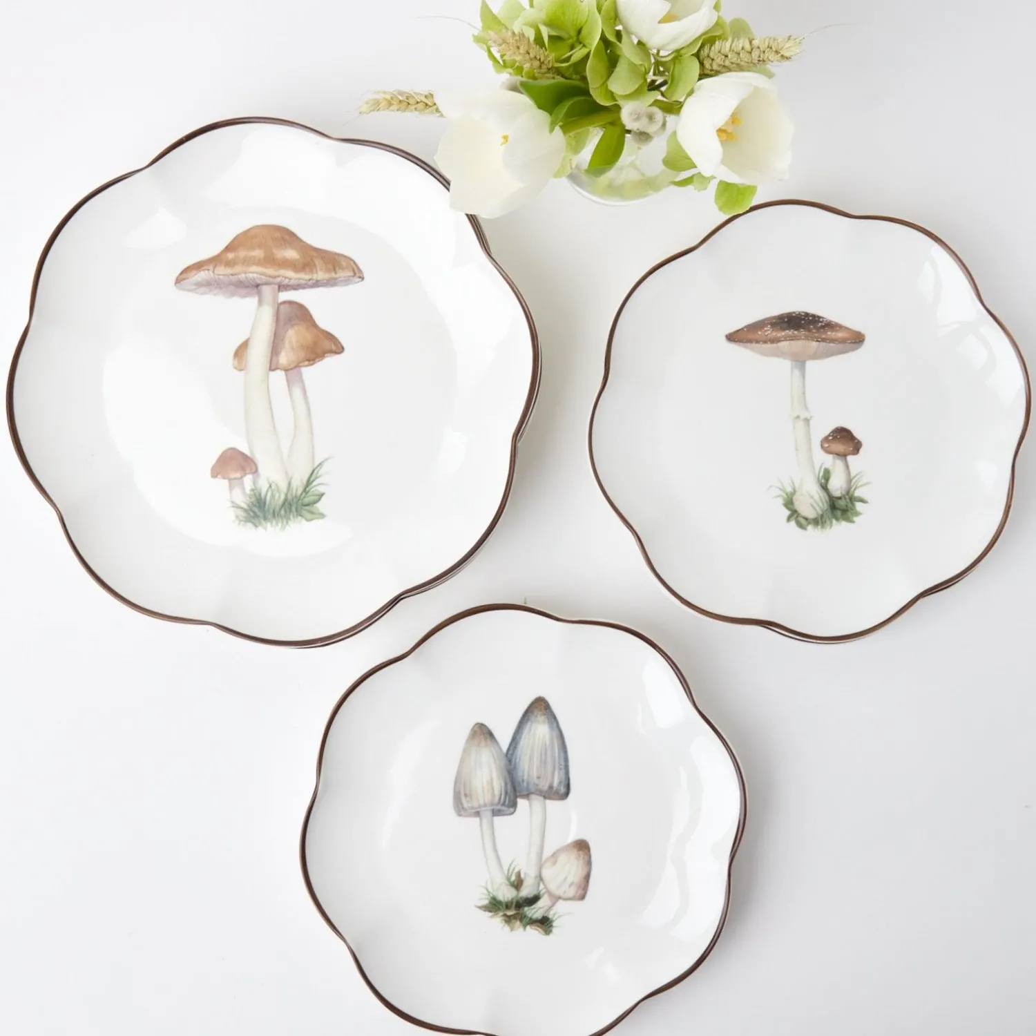 Mrs. Alice Scalloped Mushroom Dinner Plates (Set of 4)< Dinner Plates | Crockery Sets