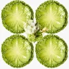 Mrs. Alice Serena Green Cabbage Dinner & Starter Plates (Set of 8)< Crockery Sets